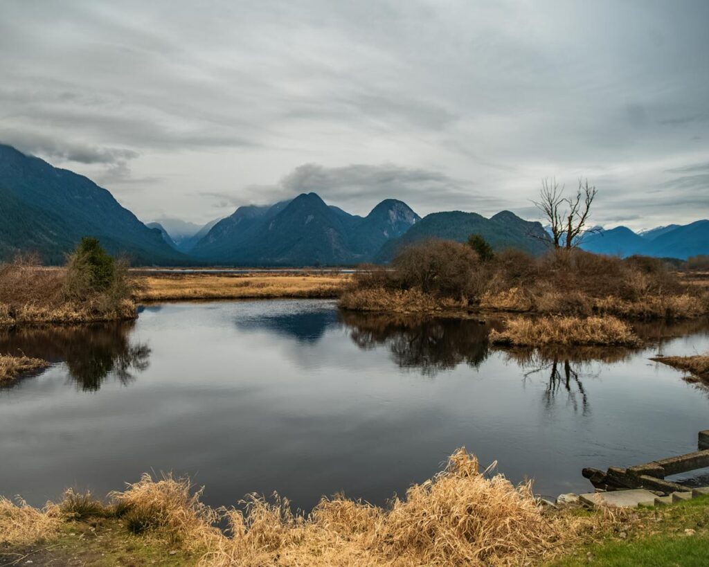 Tranquil view of Pitt Meadows with mountains, lake, and lush greenery in spring.